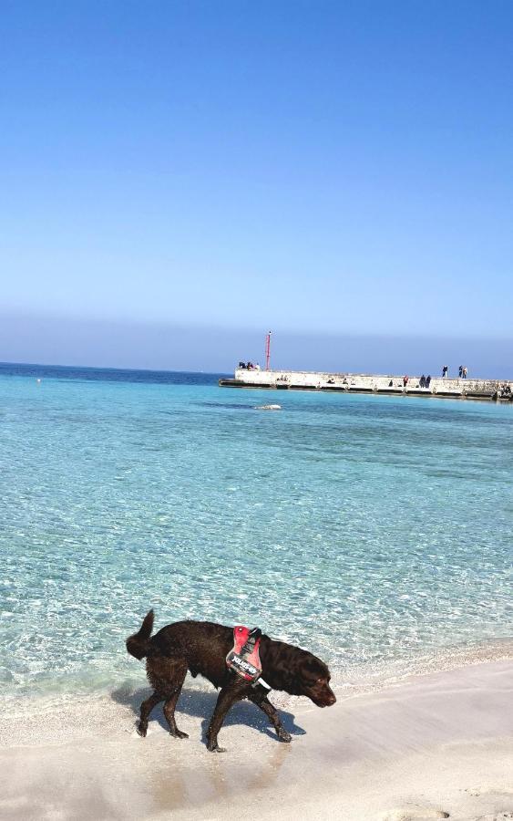 Happy Home - Mondello باليرمو المظهر الخارجي الصورة